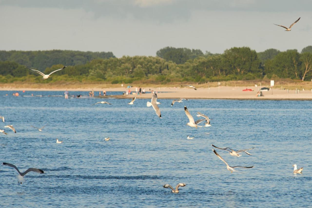 Bucht Moba-travel Appartamento *